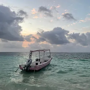 Pensión Home's Jungle Puerto Morelos 20 Minutes From The Airport